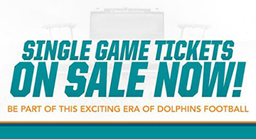 Dolphins Banner